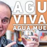 Botellas de gas: ¿Por qué son necesarias?