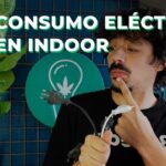 Gasto mensual de energía de un foco de 600W en 2022: ¿Cuánto deberías esperar?
