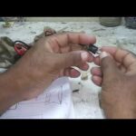 Conexión de un jack de audio hembra: guía paso a paso