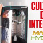 Kit completo de cultivo interior con armarios y luces LED