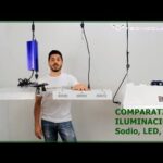 Opiniones sobre focos LED para cultivo interior: ¿Cuáles son los mejores?