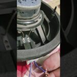Cómo conectar correctamente el cable de bocina positivo y negativo en 5 pasos