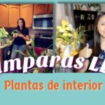 Maceteros LED: iluminación para tus plantas