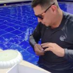Mejora el ambiente de tu piscina con iluminación LED subacuática