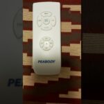 Resetear Mando Ventilador Techo: Guía Fácil y Rápida