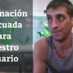 Horas de luz para acuario: ¿Cuántas son necesarias?