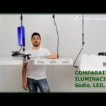 Cantidad de plantas óptima por foco de 600W: Guía completa y práctica