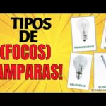 Descubre los 5 mejores tipos de bombillas antiguas para iluminar