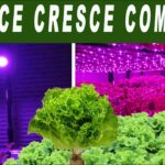 Consigue un ambiente natural en casa con leds imitando la luz solar