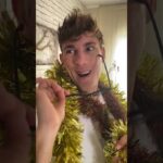 Cuándo y cómo decorar el árbol de Navidad: guía rápida para las fiestas