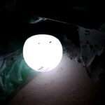 5 trucos para ahuyentar bichos de tus luces exteriores